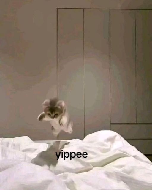 Come here