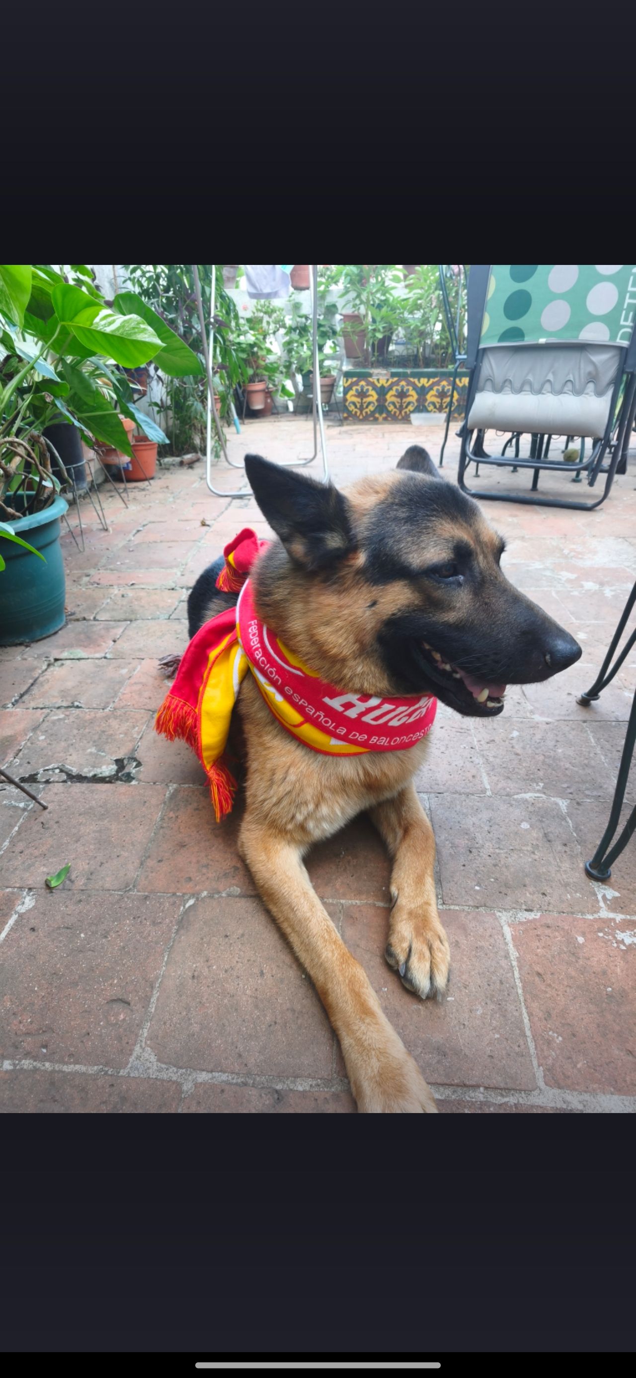 Go Spain Go!!