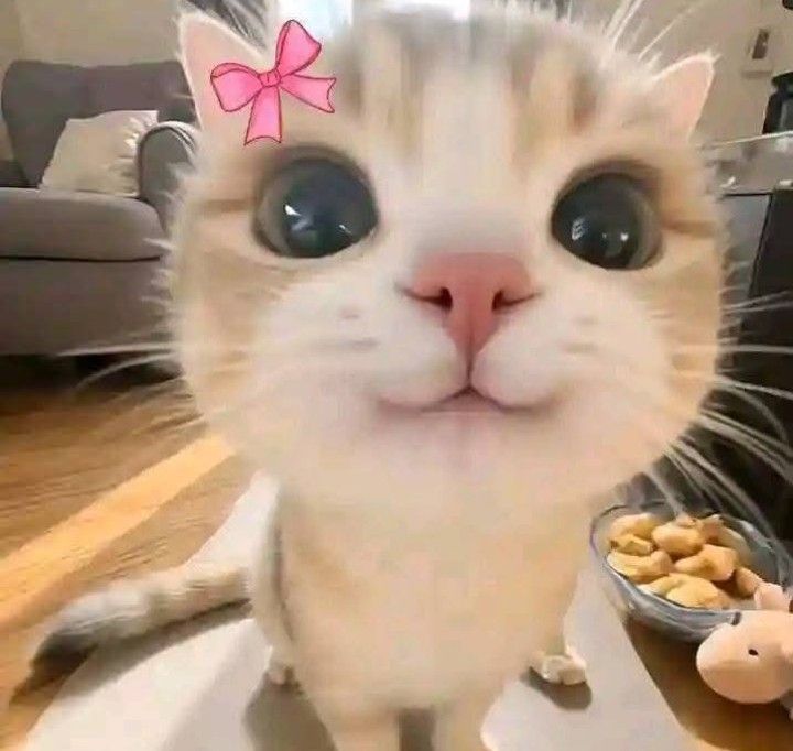 come playyy :3