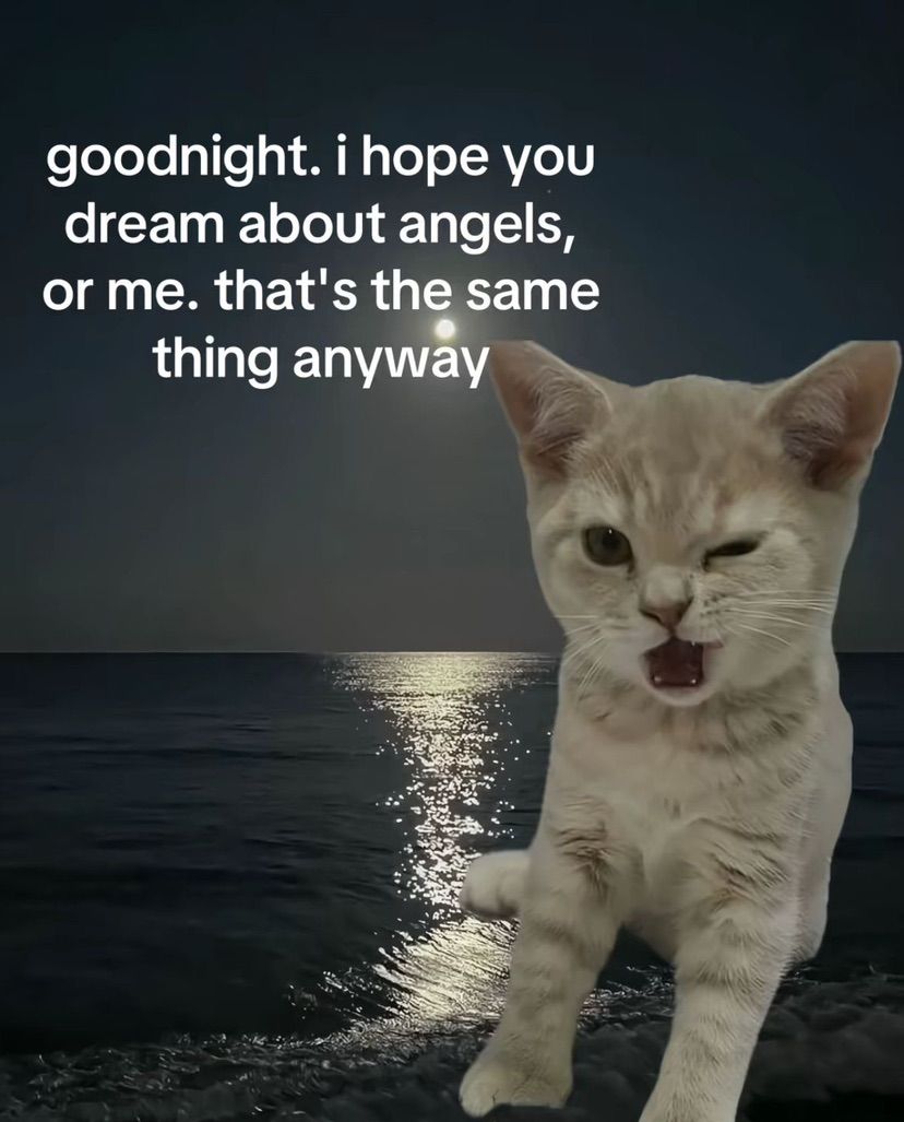 goodnight !