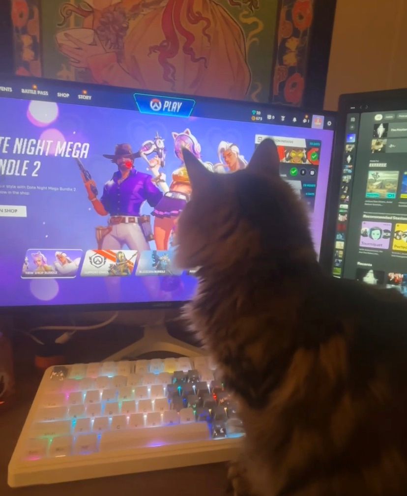 My Gaming Assistant Has Arrived ♡