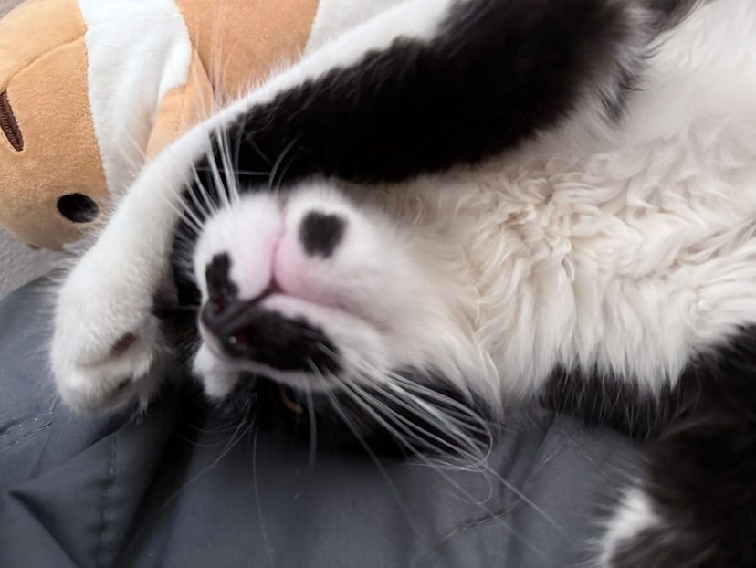 maru