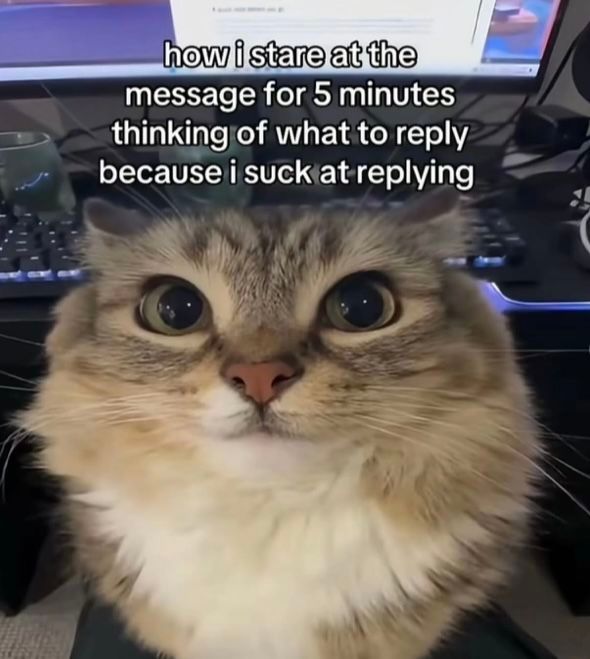 Or...