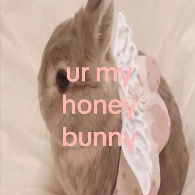 ˙ . ꒷ 🍰 . 𖦹˙—