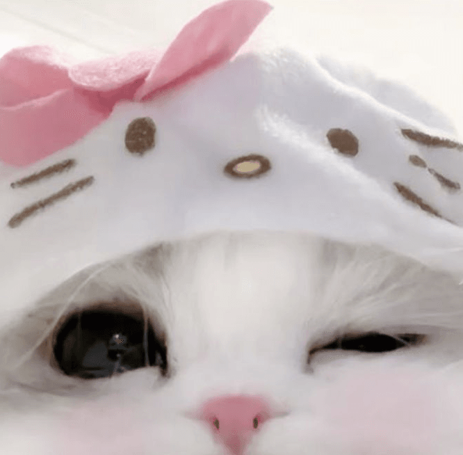 im baackkkk :3