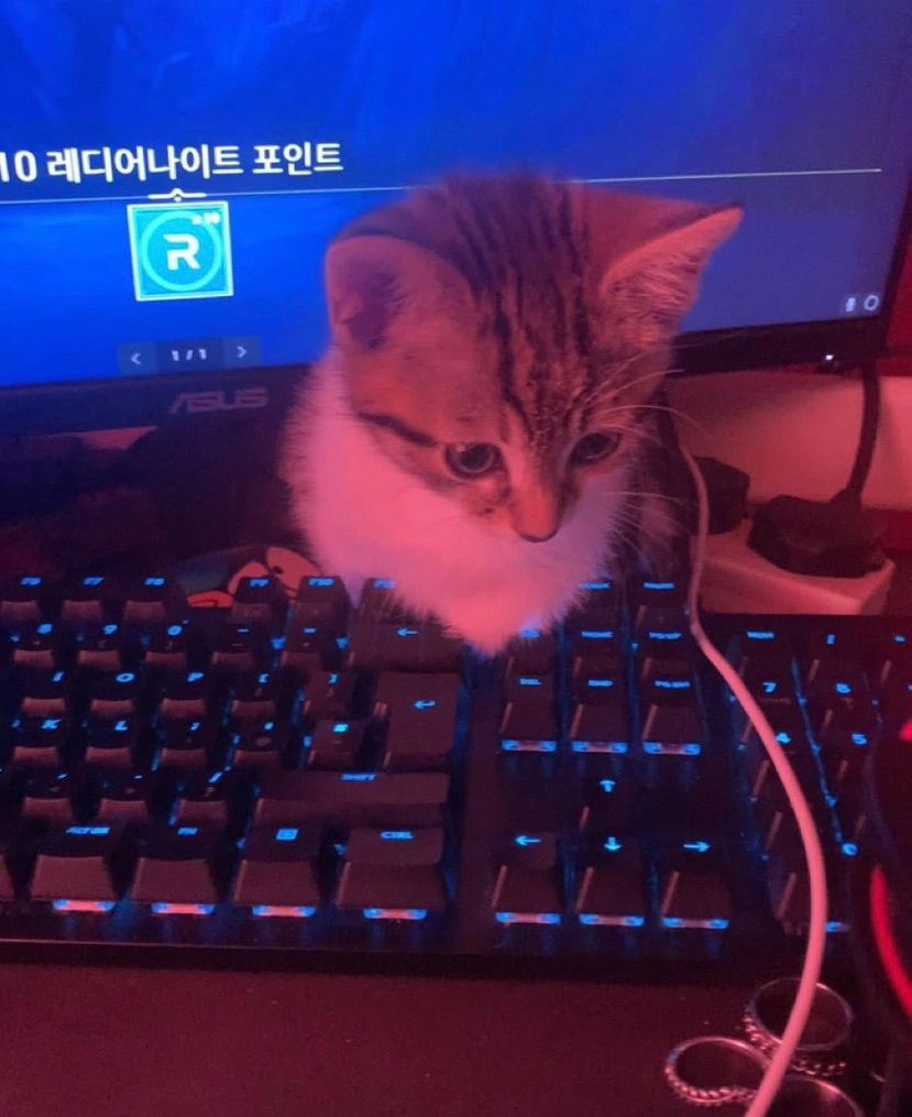 :ppp