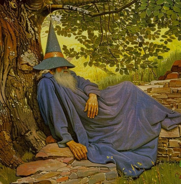 wizzard is off to dream land