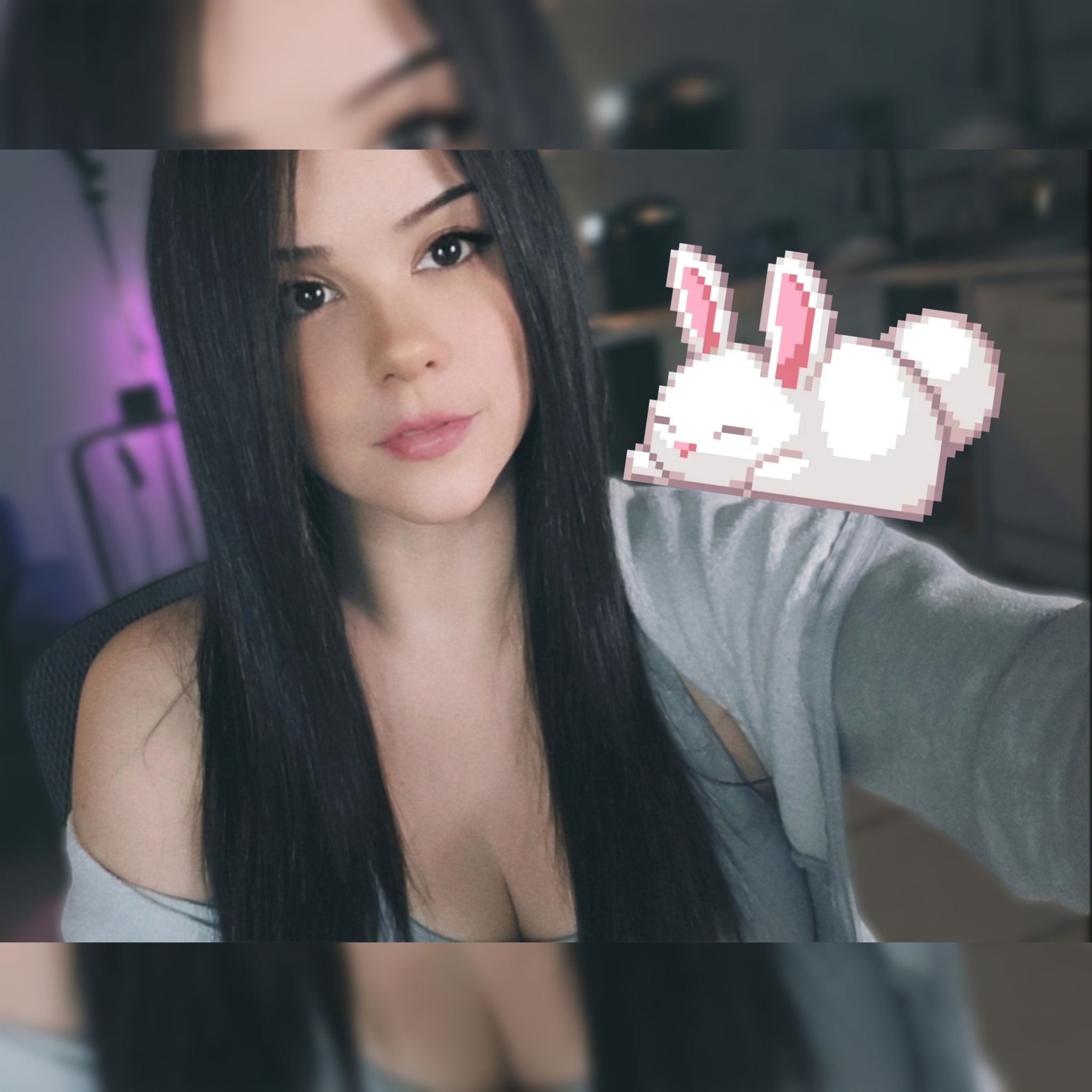 🐰