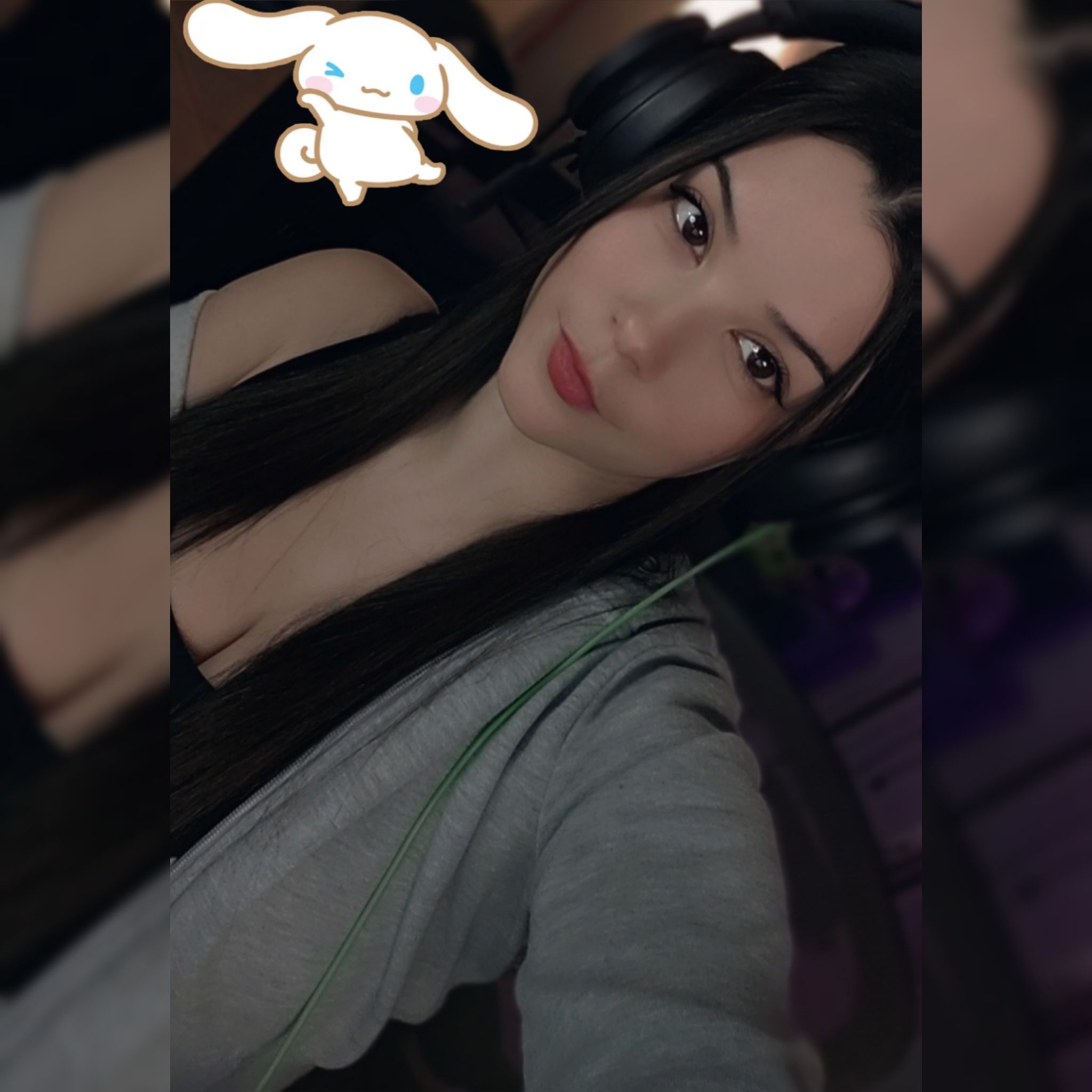 🐰