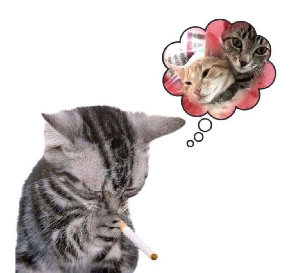 ‎