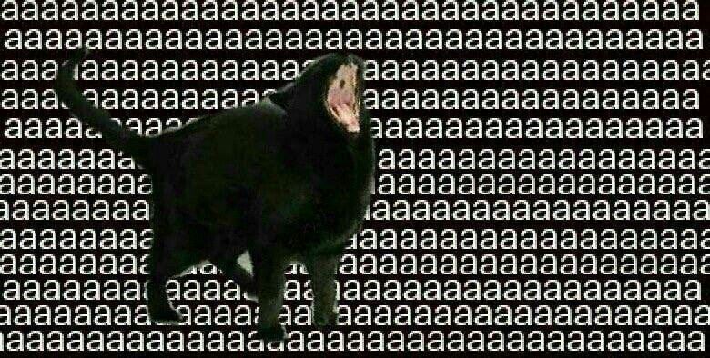 ‎