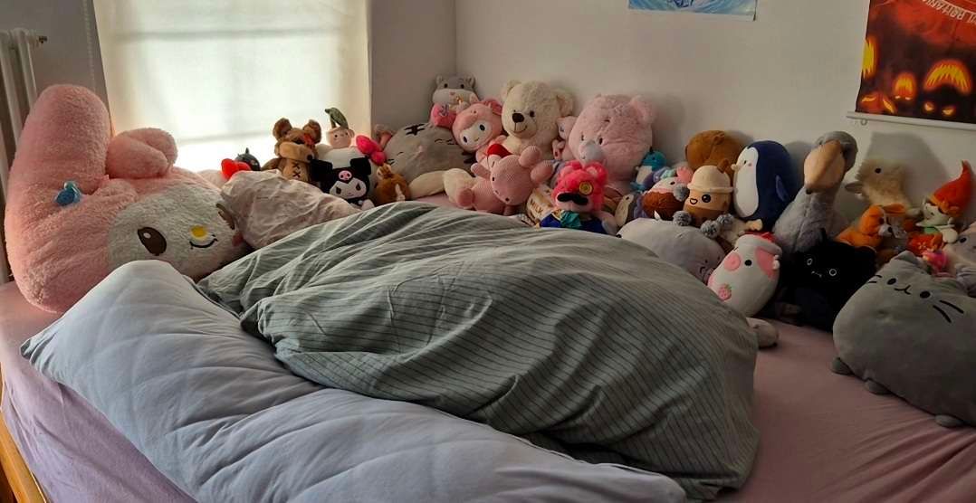 comfy bed