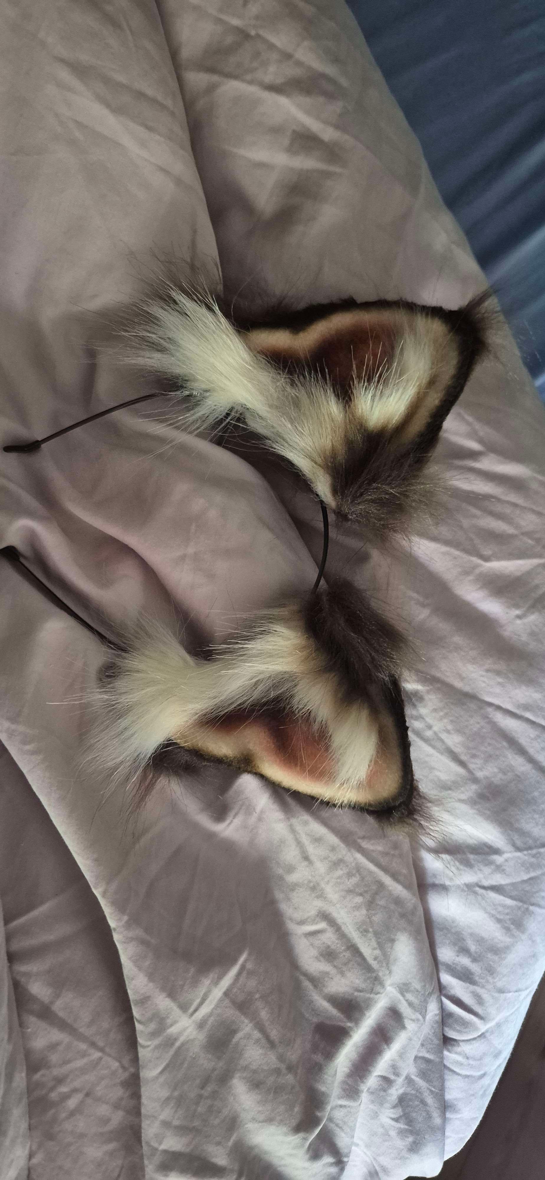 new kitty ears ^_^