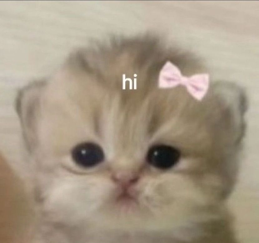 me waiting patiently for you to reach out💗