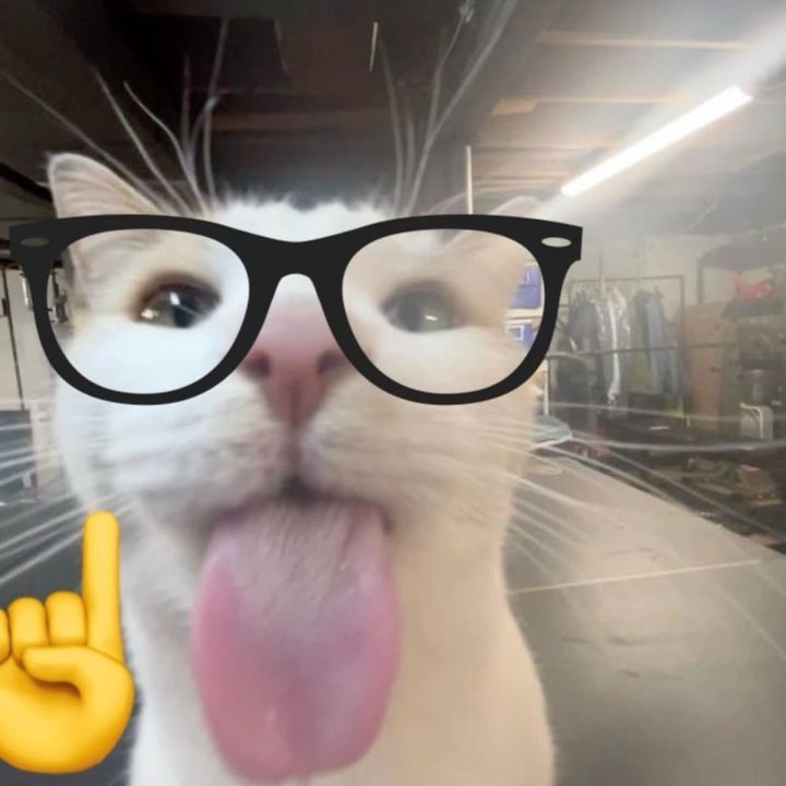 hiii i am back kitties :3