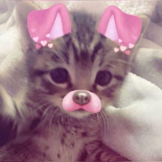 i miss that kind of misery