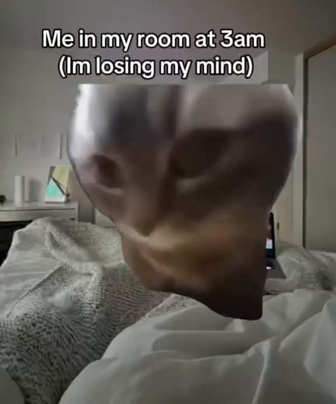 😎