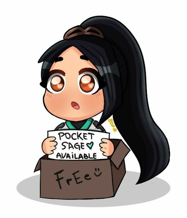 lost pocket sage