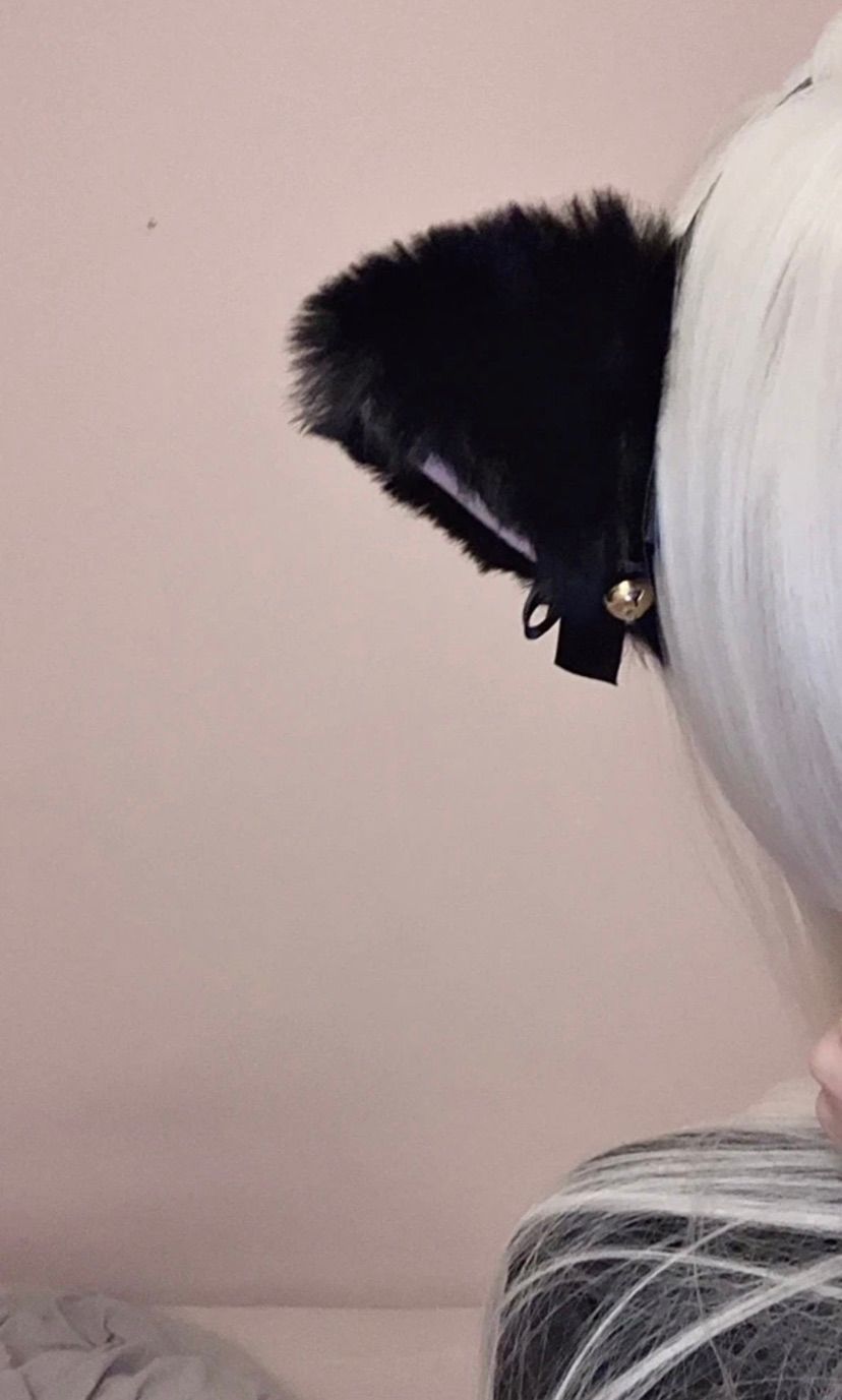 little kittyִֶָ🪽་༘