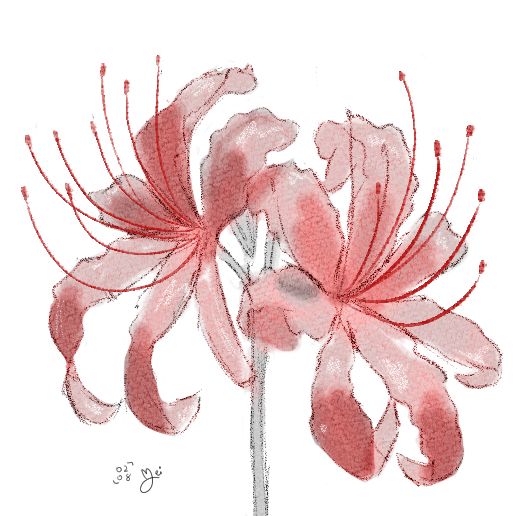my first doodle service ! ⋆˚꩜｡
