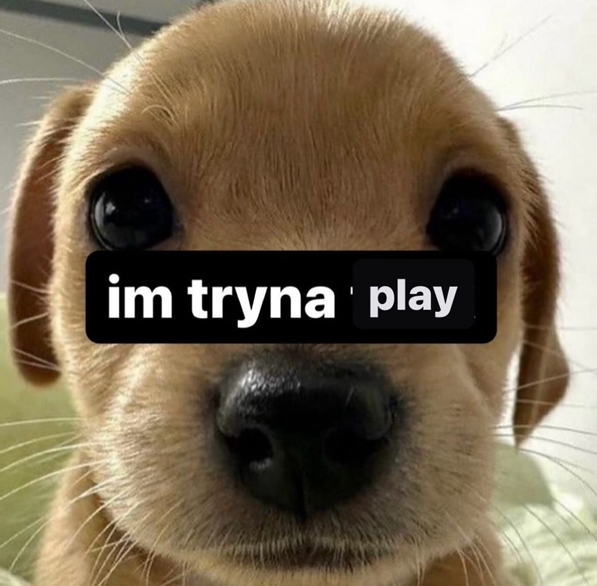 Play time?