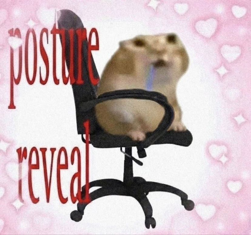 posture reveallll 🥳