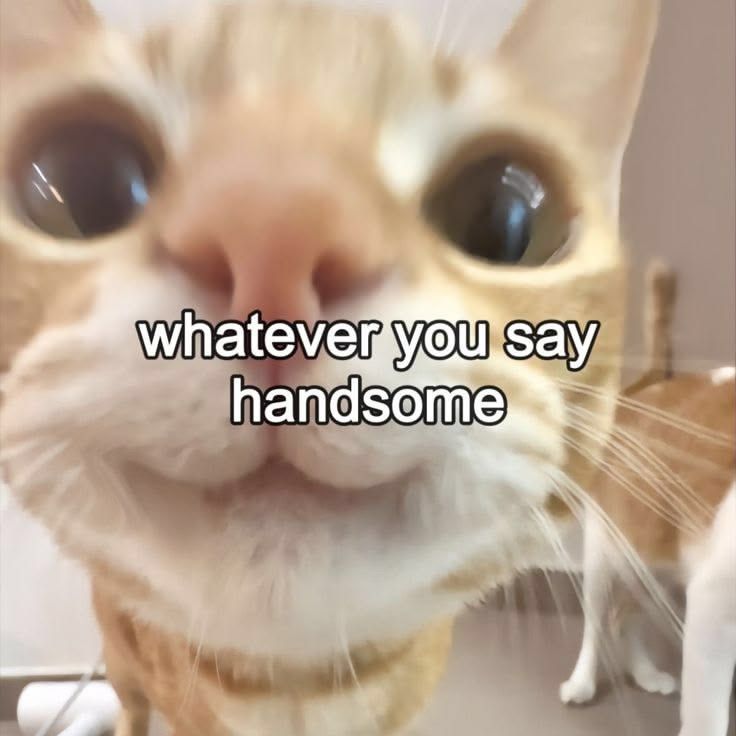 i agree (˵Φ ω Φ˵)