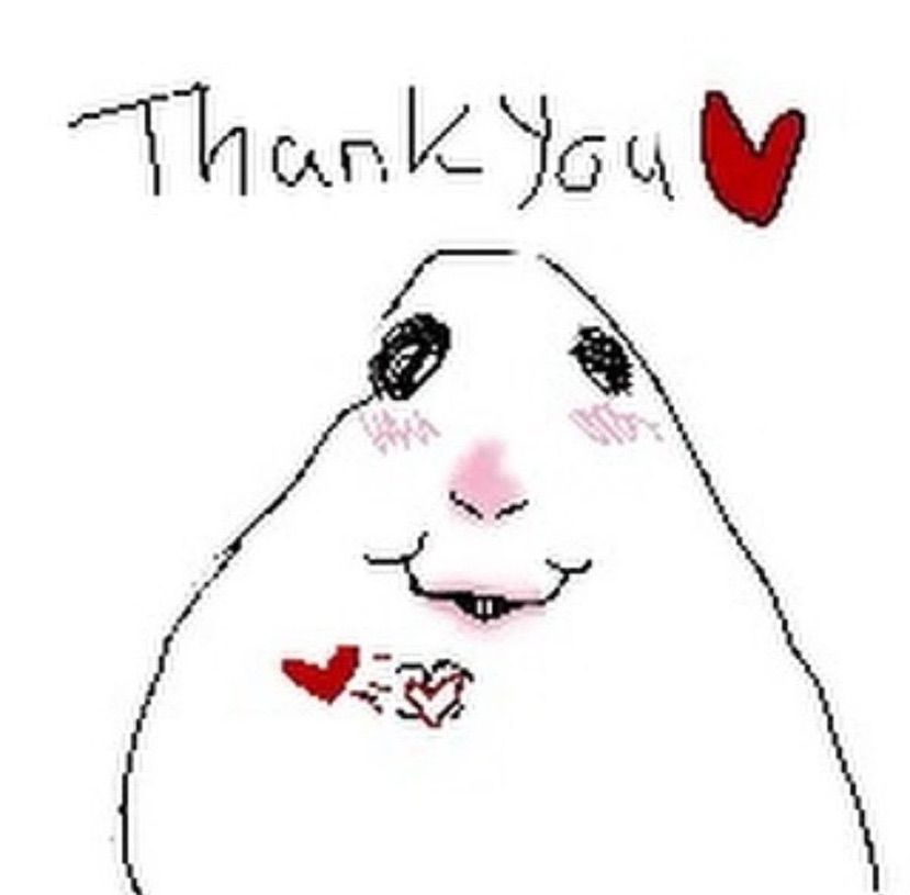 💗 Thank you so much 💗
