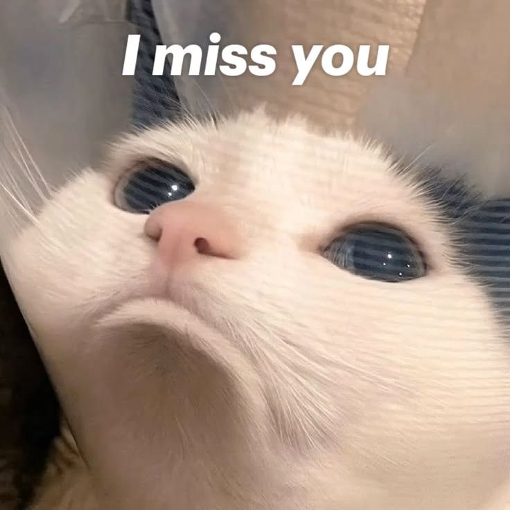 Missed yall so much