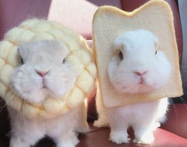could be us
