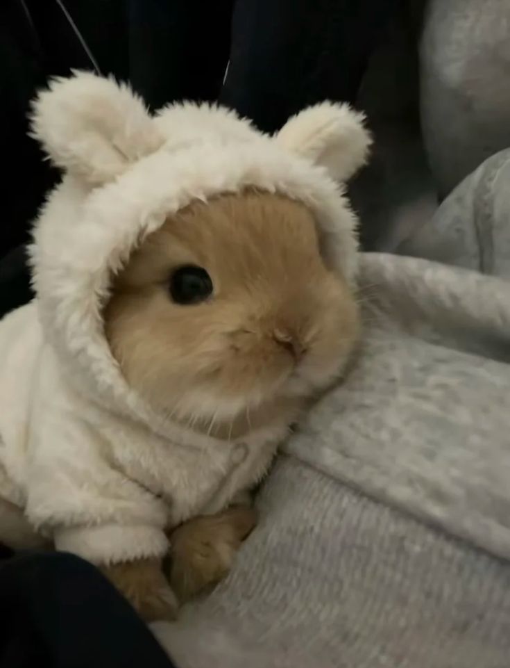 :3