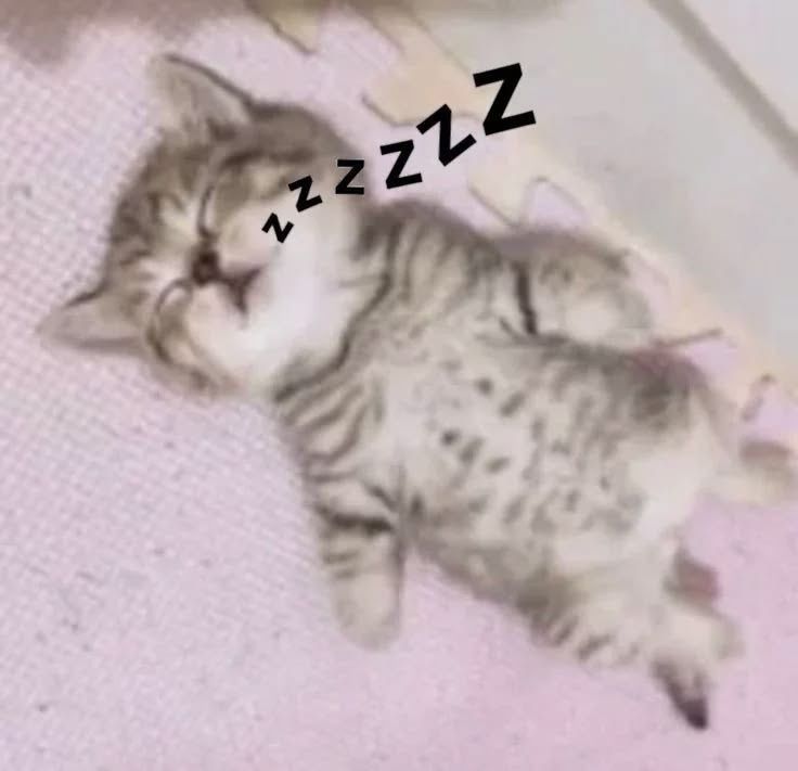 🐾