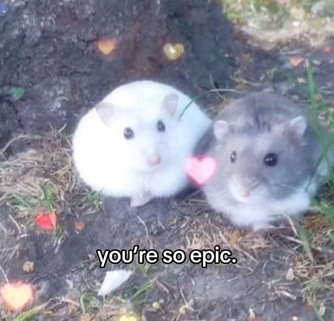 🐾