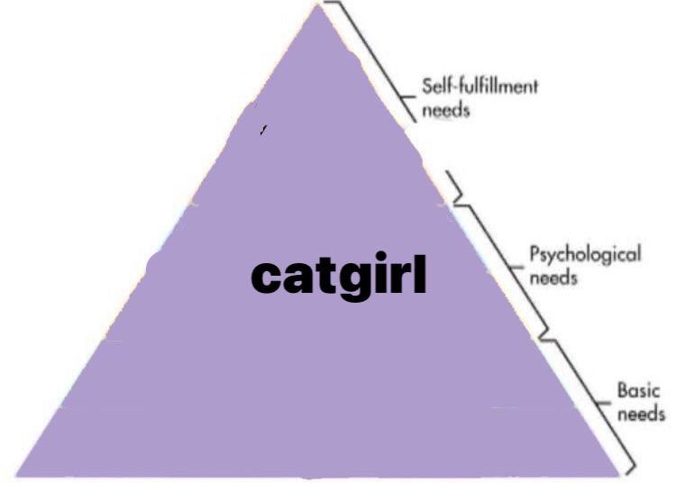 ₍^. .^₎⟆