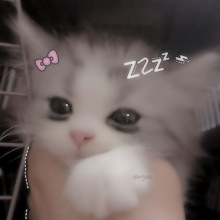 hiii :3