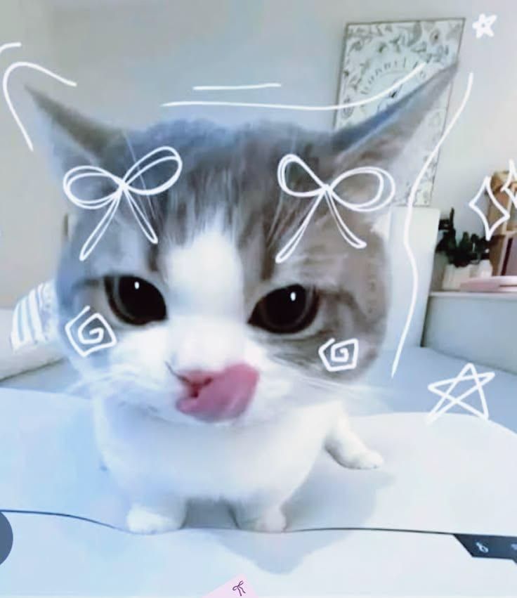 ♡ hi