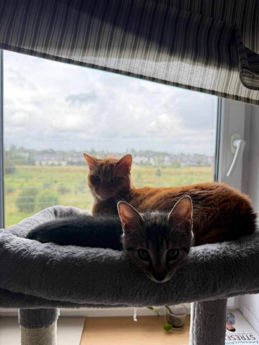 THEY FELL ASLEEP TOGETHER