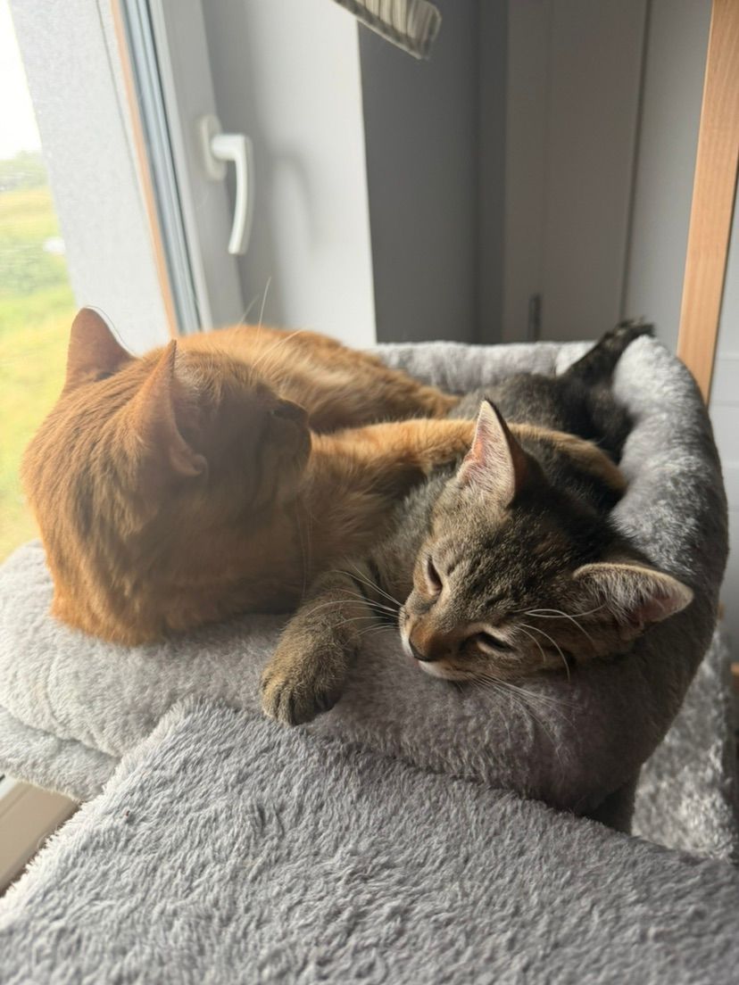 THEY FELL ASLEEP TOGETHER