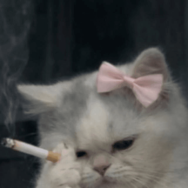 :3