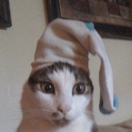 good meowning