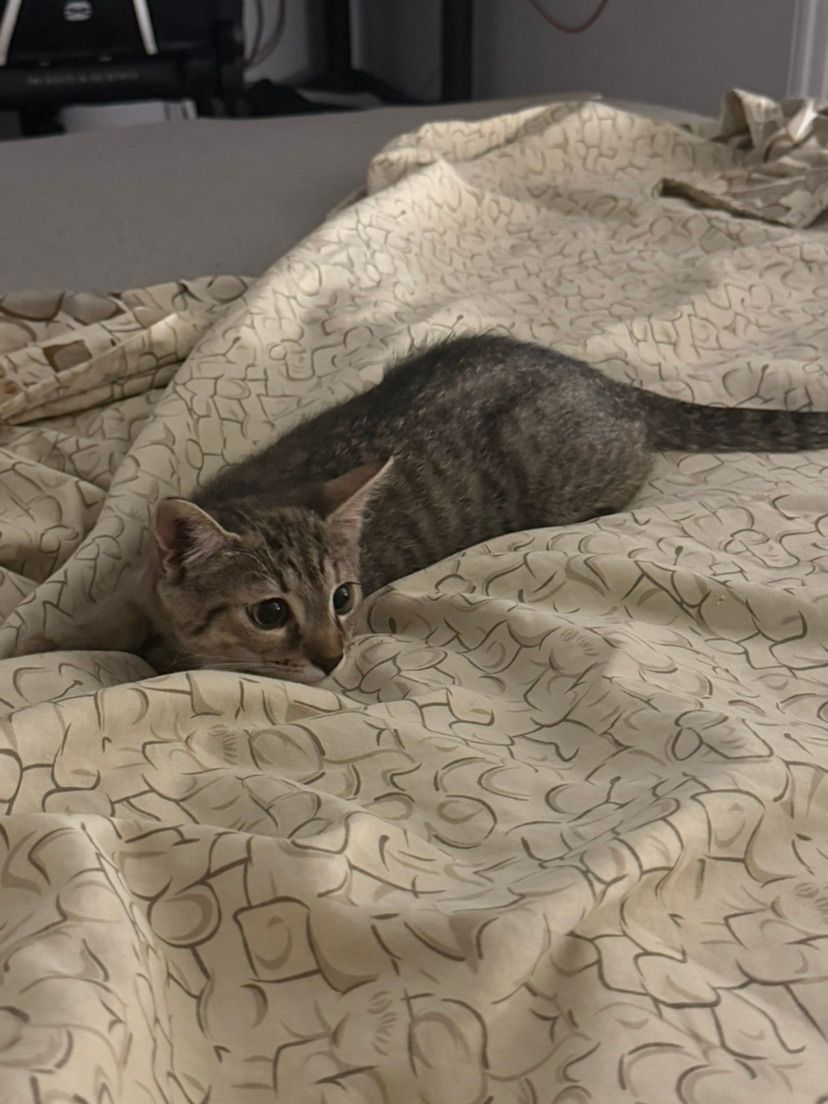 tiny’s angyyy