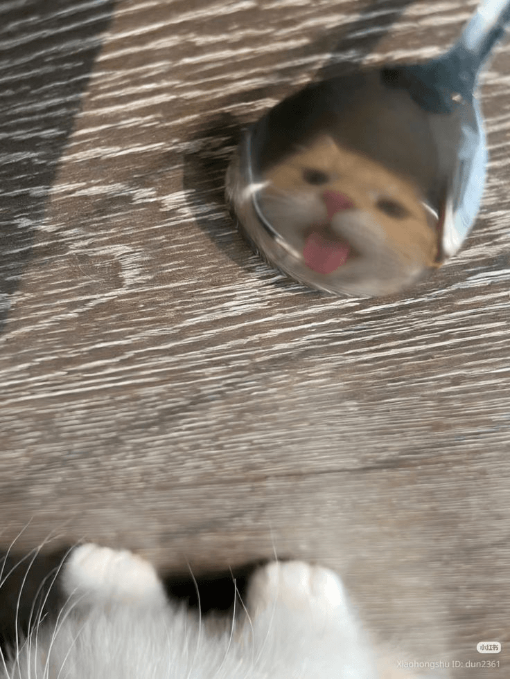 ehehe available ehehe