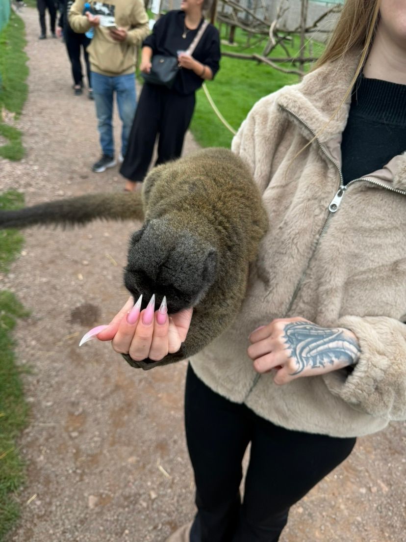 zoo trip hehe