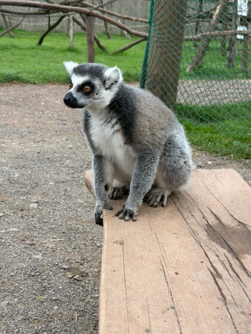 zoo trip hehe