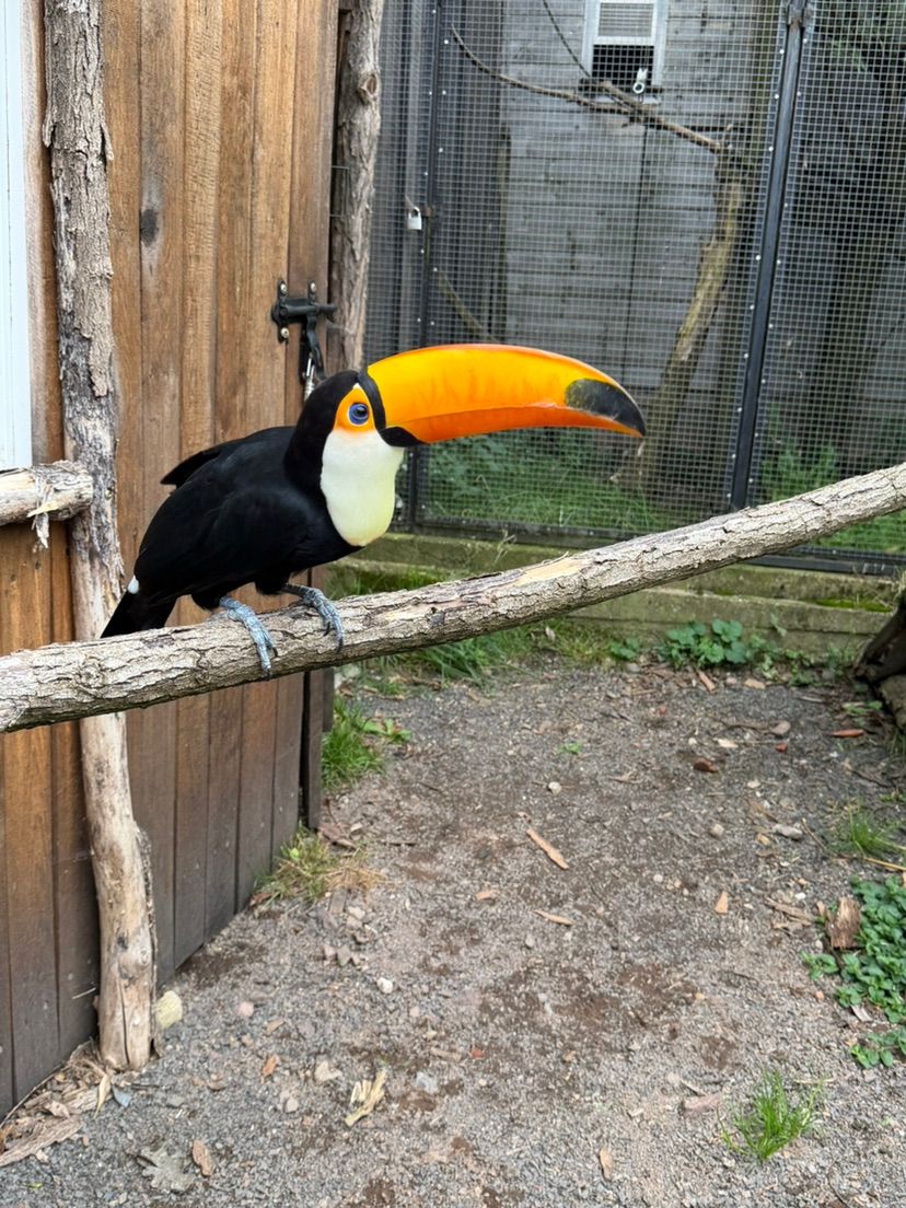 zoo trip hehe