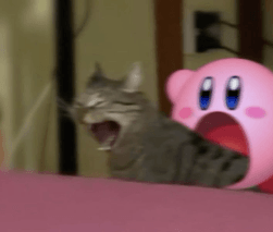 Hey~