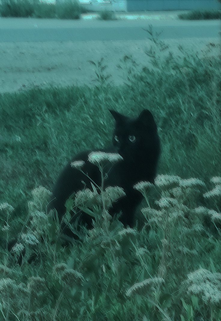 💚