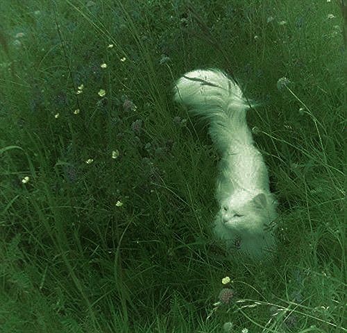 💚