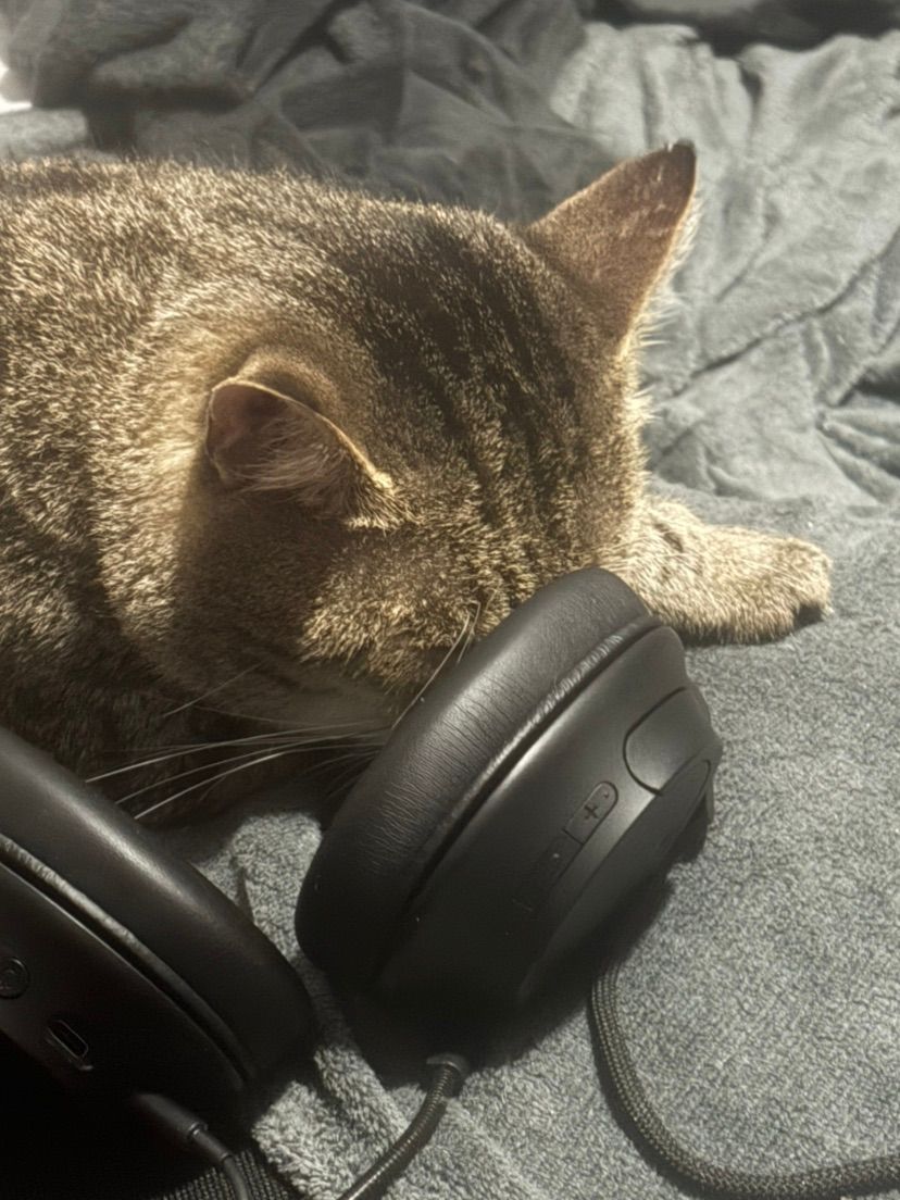 Gamer caaat (=^x^=)🐾