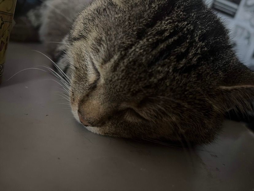Resting a bit :3